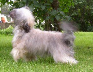 Väråsen Deeper Shade Of Pale