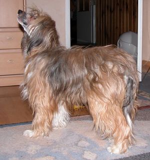 Cleo Spod Sadeckiej Chmurki