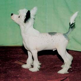 Prefix Stormy Weather