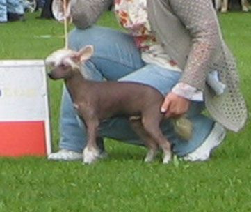 Chattanooga's Yummi-Yammi