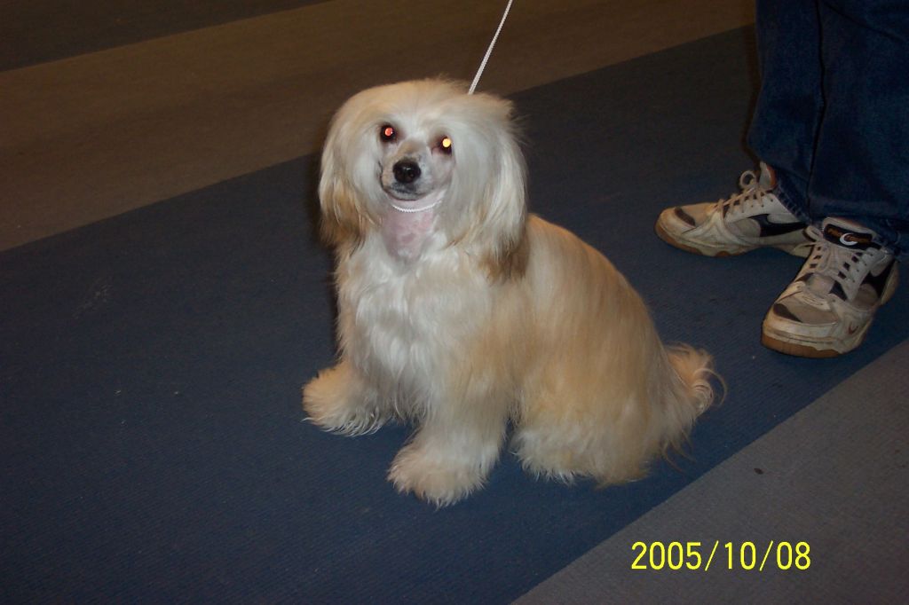 Debless One's Tamlin