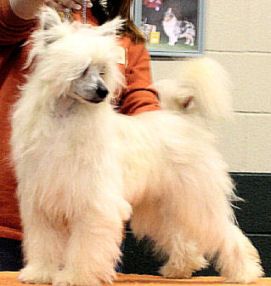 Jonbrecy's Fire Intha Hole