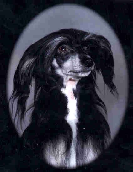 Lindawn's Little Miracle