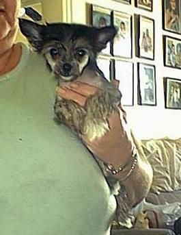 Lindawn's I feel like a woman