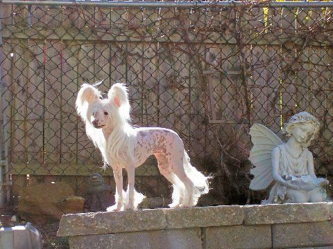 Makara's Champagne Kisses