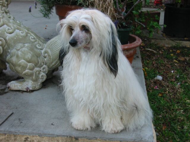 Kazlyn Lady Madison
