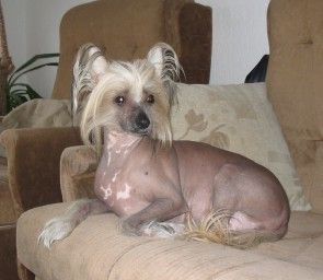 Lisa Labrisco Herbu Bawaria