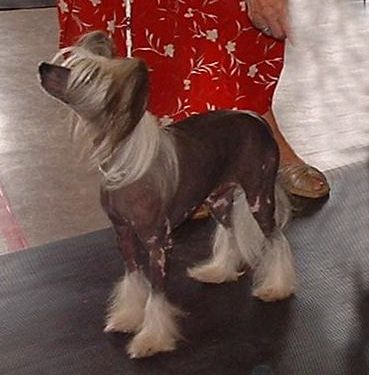 Alloy Pink Water Of Slipperton