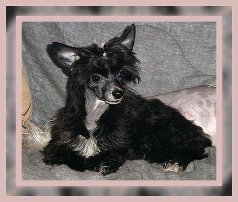 Special Edition Gift of God