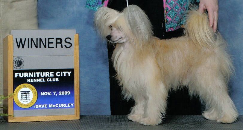 Six Gems Tasslehoff Burrfoot