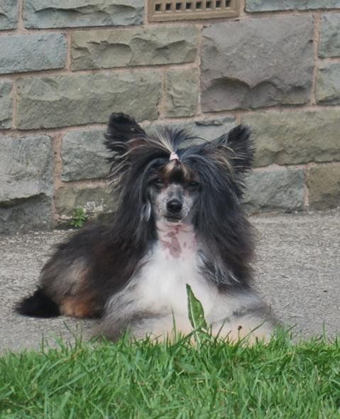 Rebekia Little Ma Zu At Tamarsh