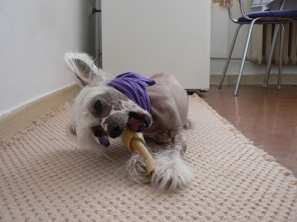 Bloondy z Jasne Hvezdy