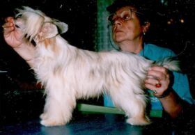 Gordona Cherie Boheme 