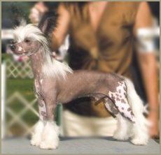 Bragging Rights At N'Co