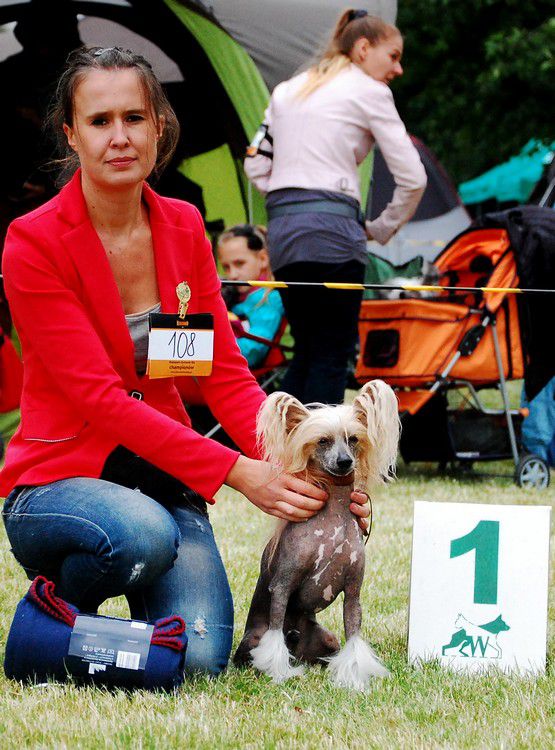 Veni Otello Sub-O-Divo