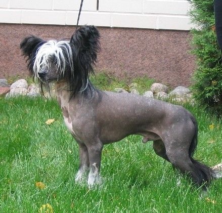 Just Call Me Pickpocket