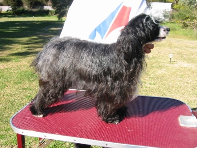 Kazlyn Lady Jacqueline