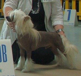 Whispering Ln' Keep On Trucking