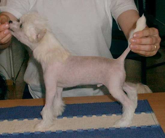 Kiikunkaakun Follow Me