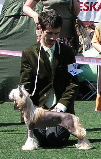 Perspektywa Germanika