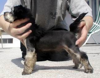 Hayden GabriTho Poarott