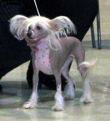 Zhannel's Hot N Spicy