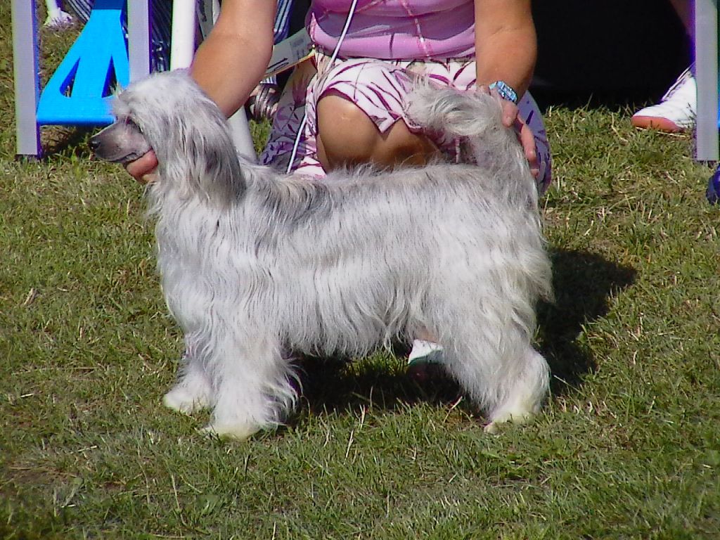 Fantastik Kashmir Mikelina Tail