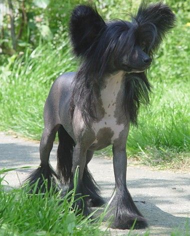 Destiny For Mady's Love