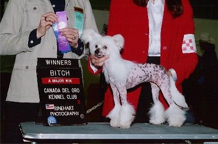 Crest-Vue's Barbie Doll