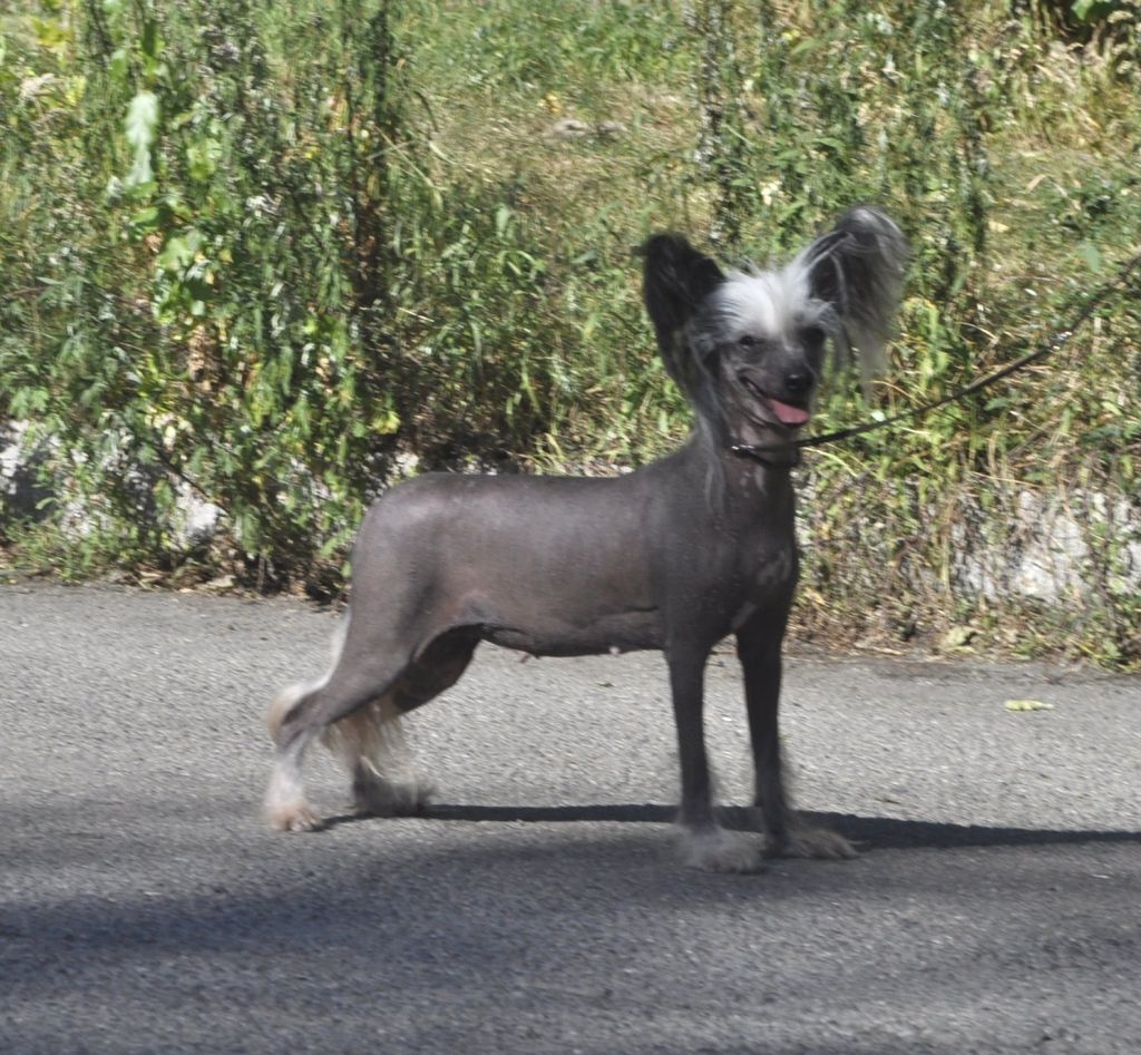 Eugenios Sun, Moon And Stars