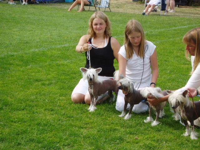 Lucky Line's Cool Rider