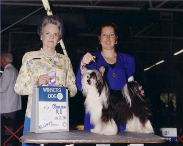 ParaDice's Time Travelier