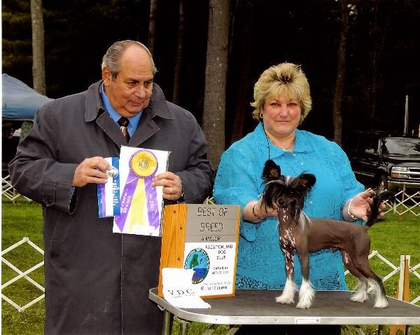 XO y Talisman Trace of Luck