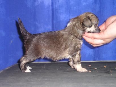 Sun Dan My Soul Mate