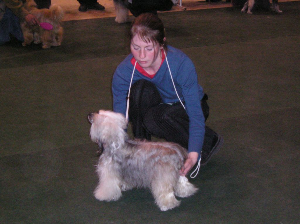 La Paloma Sub o Divo