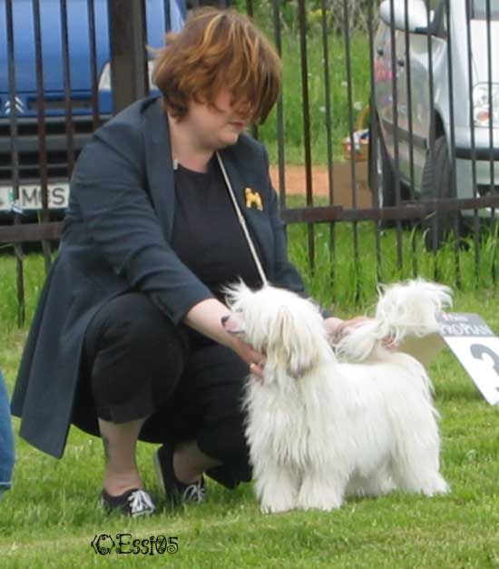 Secret Line's Las Vegas Lad