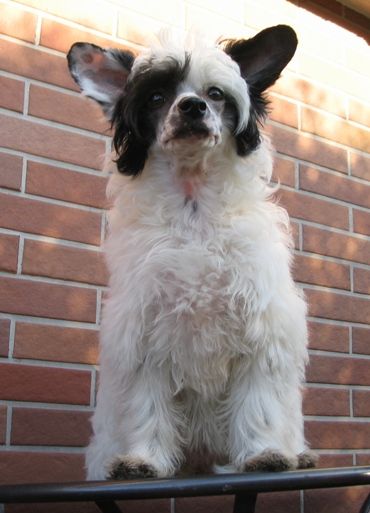 Berwyn Tanny May's mile