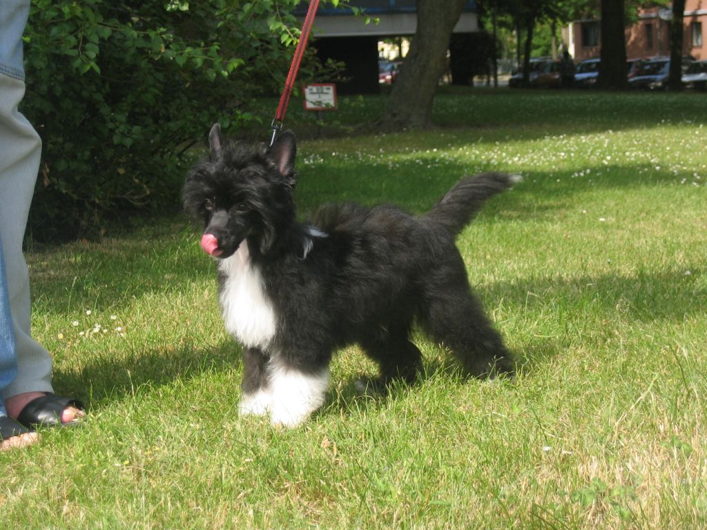 American Spirit by Change of Heart