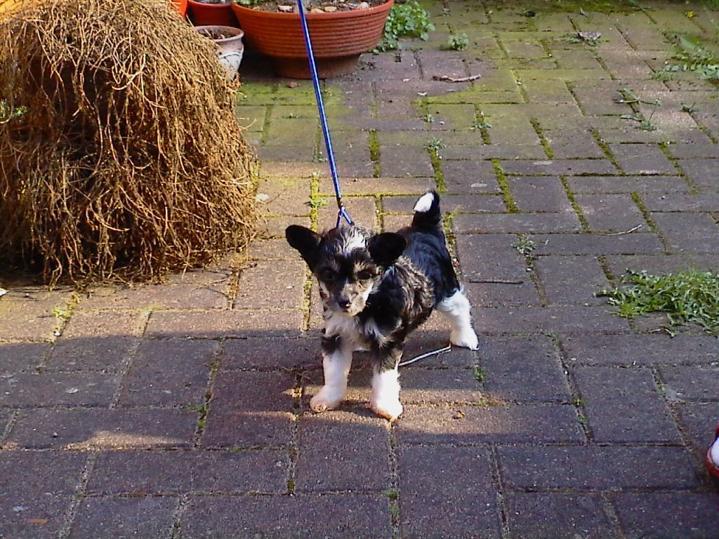 Ashley by Change of Heart