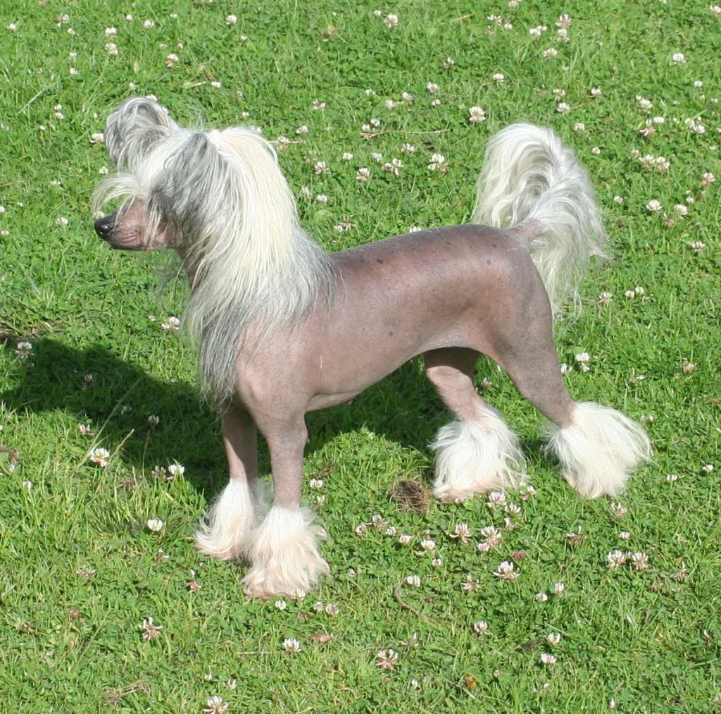 Blandora Mind Yer Bizness at Tamarsh