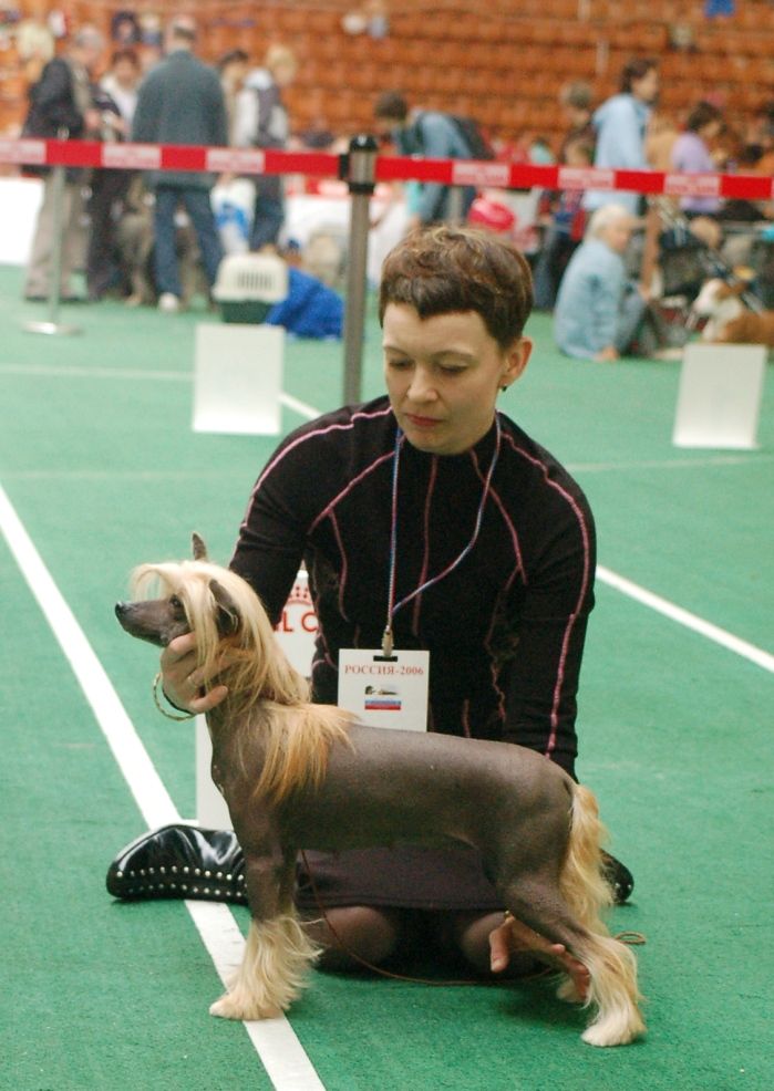 Zholesk Raiskaya Ptichka