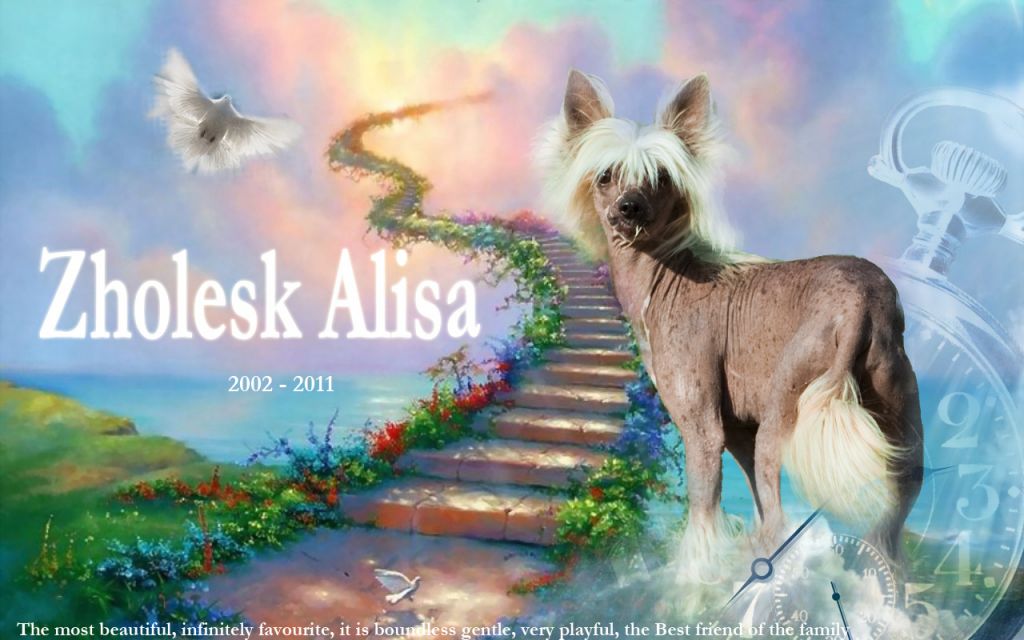Zholesk Alisa