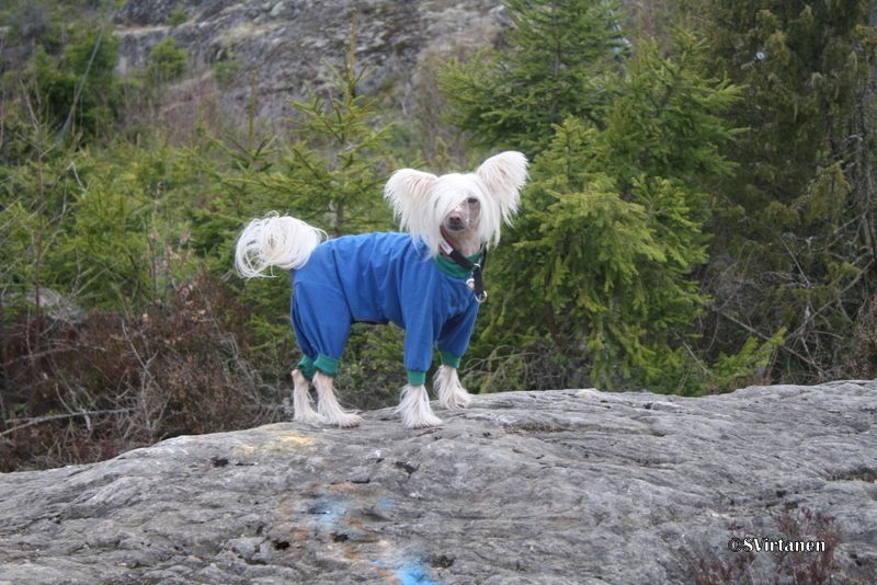 Zhannel's Grand Slam