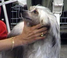 Bastien z Alsova nabrezi