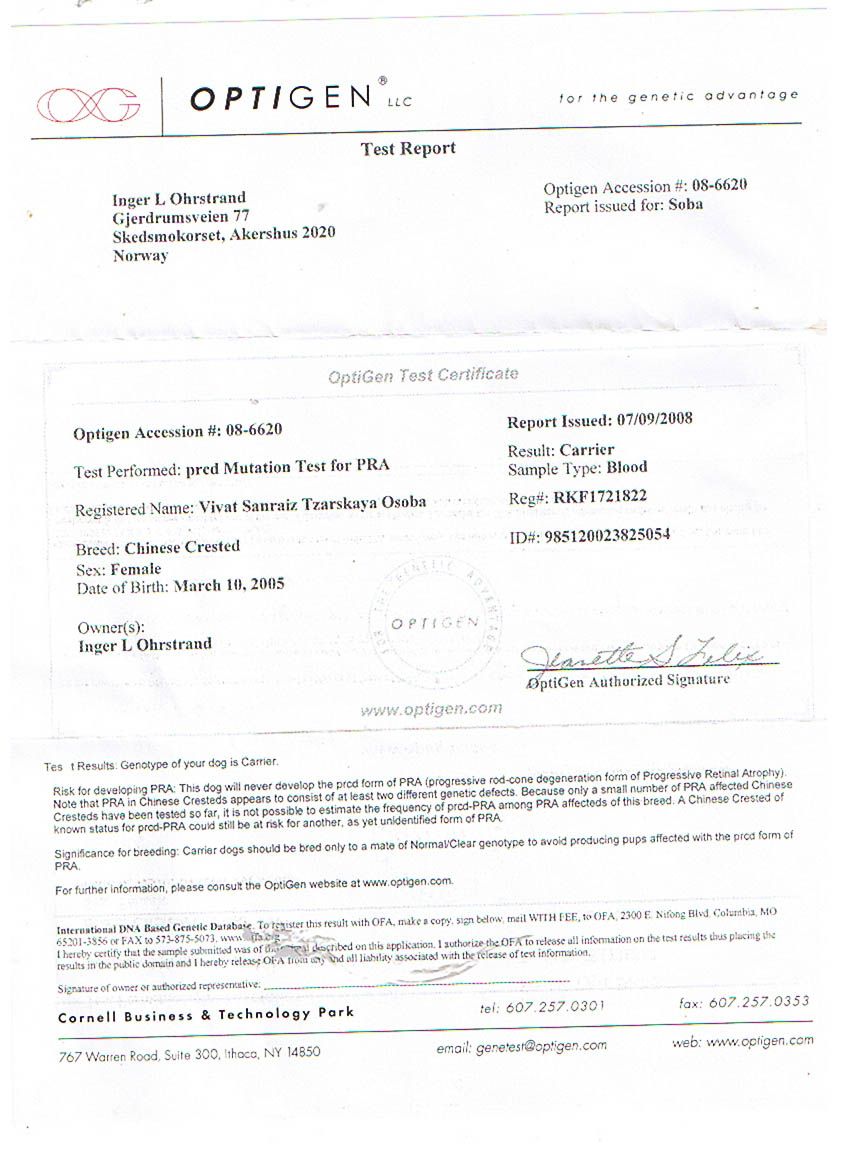 Vivat Sanraiz Zharskaya Osoba