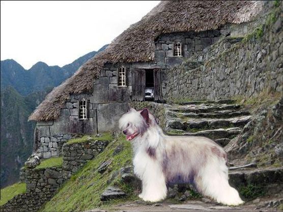 Wy-O's Nickels N' Dimes