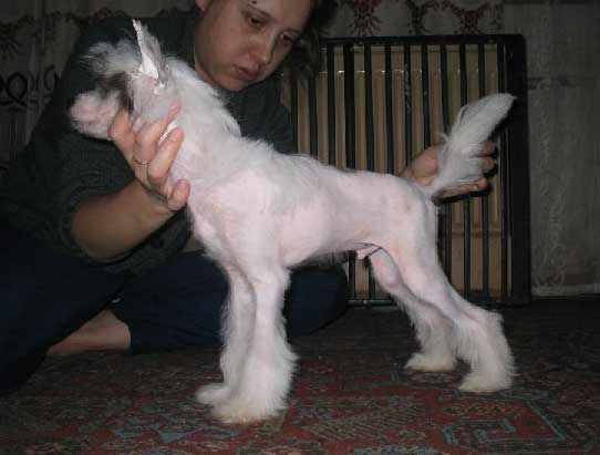 Zholesk Tamerlan Beshtau