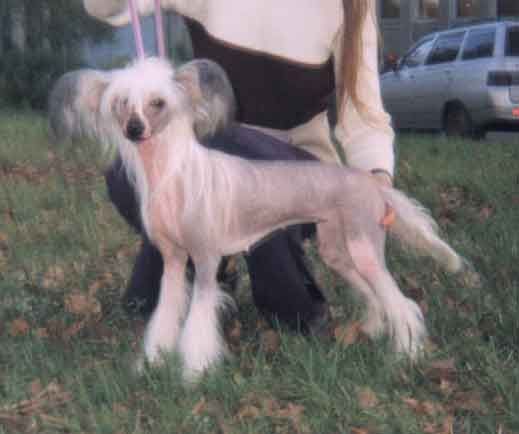 Tamerlan Beshtau Osen dlja Meri Sain