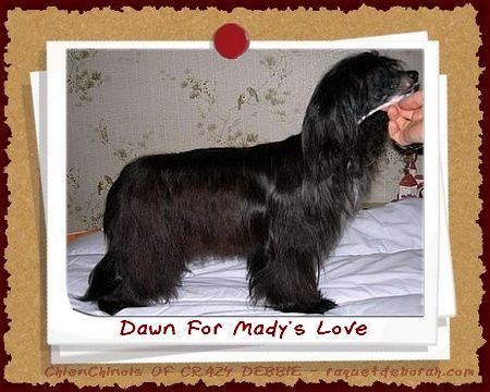 Dawn For Mady's Love