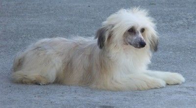 Dorian For Mady's Love